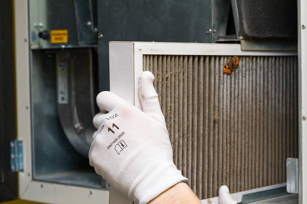 Best HVAC System Cleaning  in Pepperdine University, CA