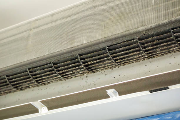 Best Affordable Air Duct Cleaning  in Pepperdine University, CA