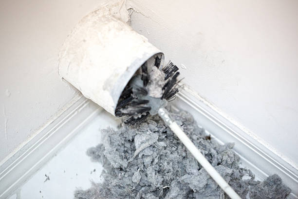 Best HVAC Duct Inspection Services  in Pepperdine University, CA